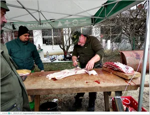 Fotók, Útirány.hu