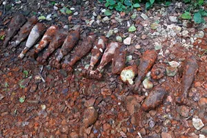 Fotók: Kapitány Gábor hadnagy, Vass Tamás főtörzsőrmester