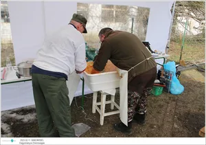 Fotók: Útirány.hu, Kiss Szabó Zoltán