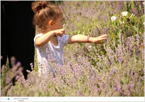 Fotók, Útirány.hu: