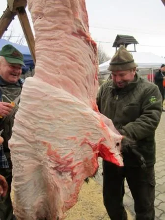 Fotók a disznóvágásról