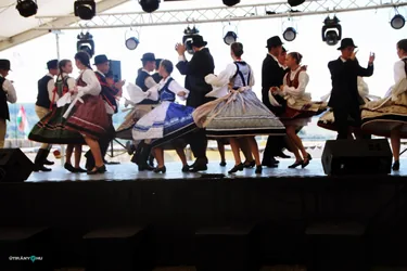 Bakonyi Vágta 2019