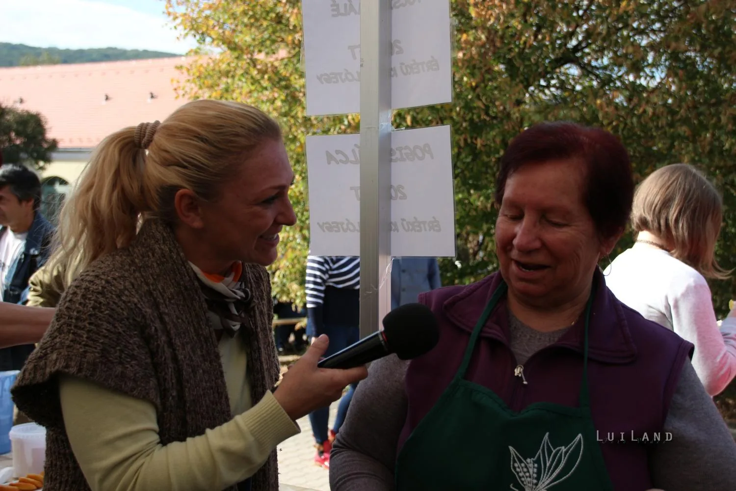 Pityóka Party, kora délután Fotó: BakonyiHirek 