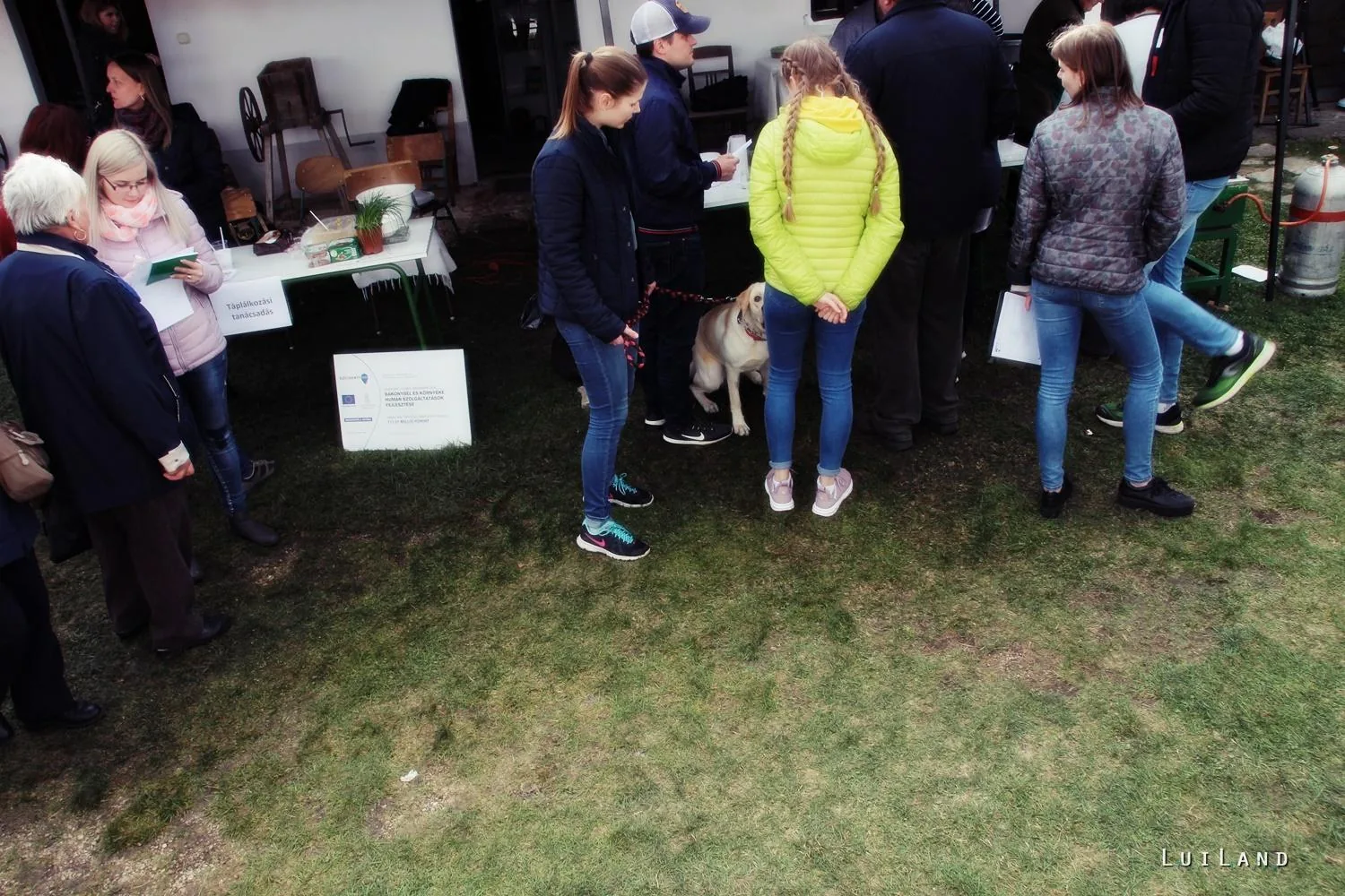 12. Medvehagymás napok. Fotók: Sárfi Lajos