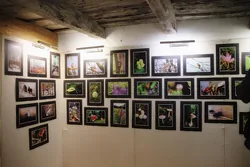 Fotókiállítás, "Ahogy én látom" borítóképe