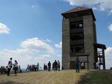 Képek (forrása internet)