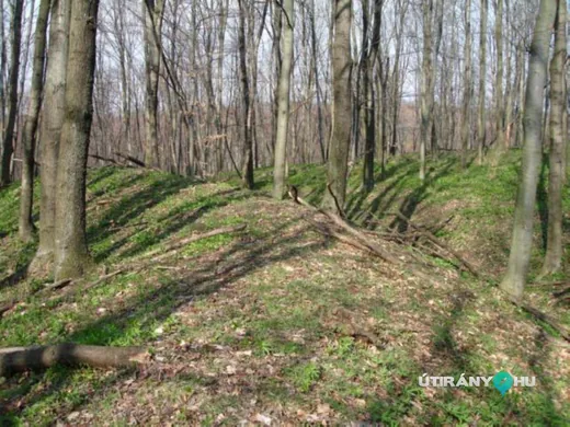 'Tevelvár' cikk borítóképe