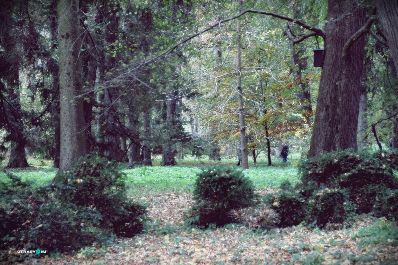 Szentmise után körséta az arborétumban. Fotók: Útirány.hu