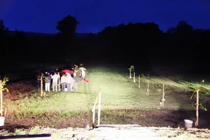 Teremtés Napja - Család-fa ültetés / Fotók: Útirány.hu