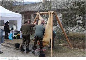 Fotók: Útirány.hu, Kiss Szabó Zoltán
