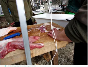 Fotók, Útirány.hu