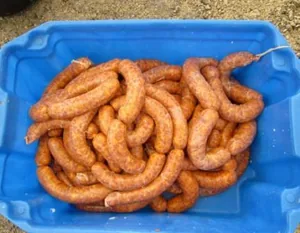 Fotók a disznóvágásról