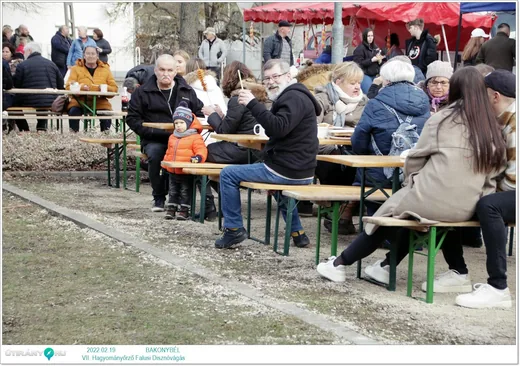 '7. Bakonybéli Hagyományőrző Falusi Disznóvágás' cikk borítóképe