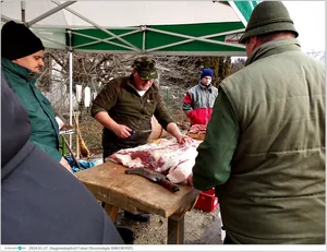 Fotók, Útirány.hu