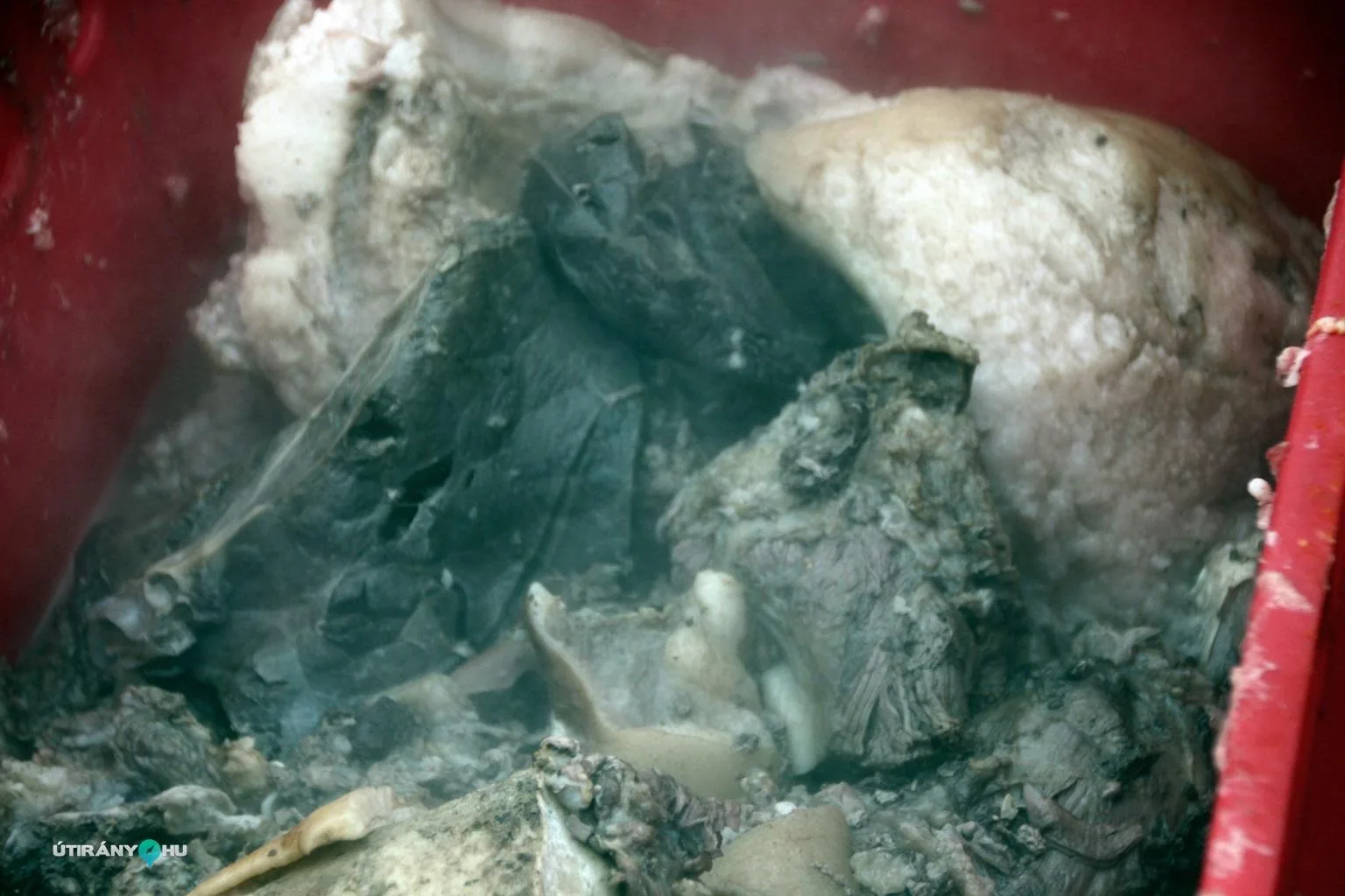 6. Falusi disznóvágás / Fotók: Útirány.hu