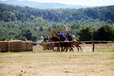 Bakonyi Vágta 2019