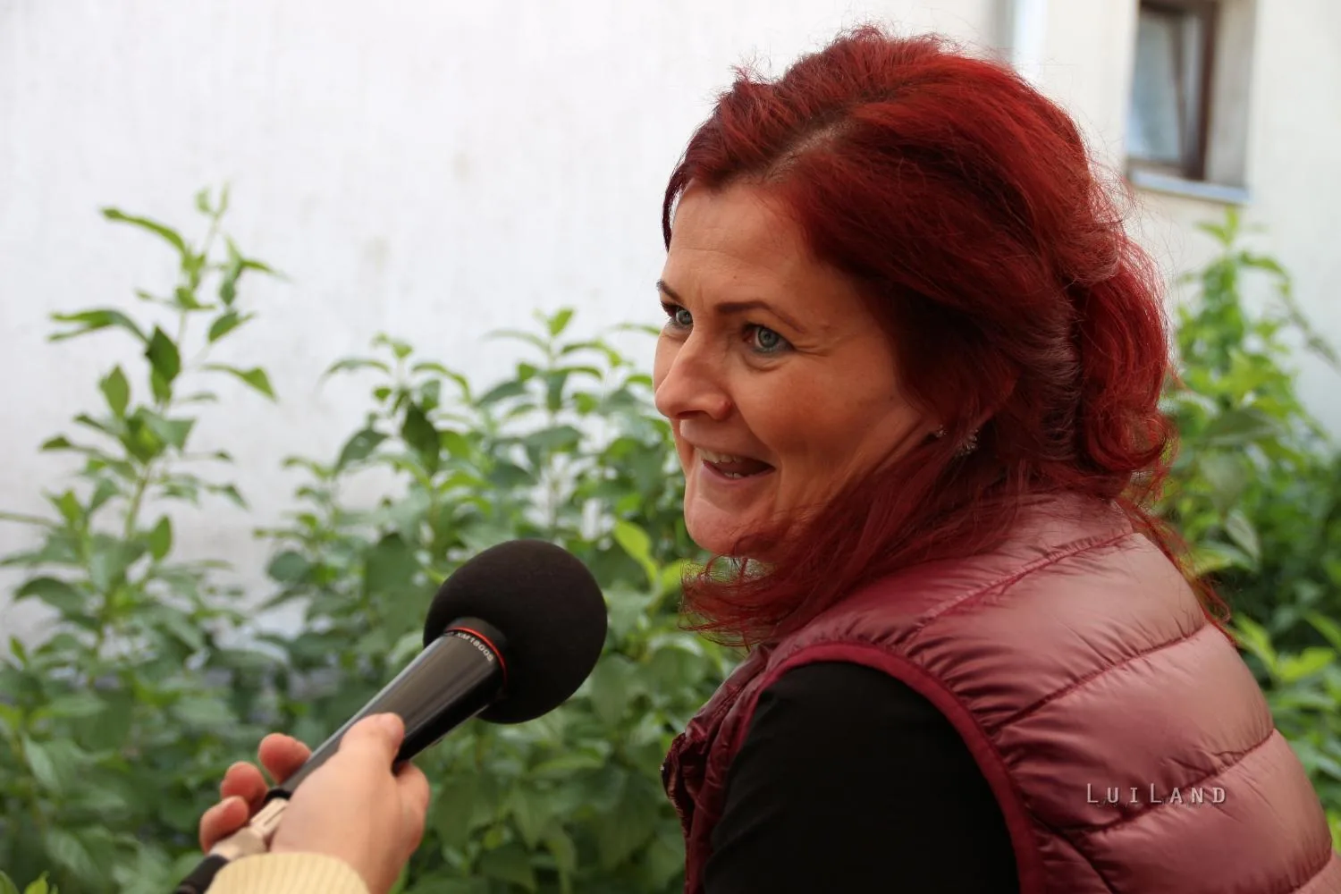 Pityóka Party, kora délután Fotó: BakonyiHirek 