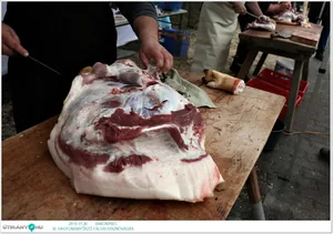 Képek a rendezvényről