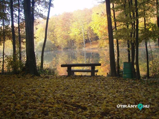 'Pisztrángos-tó' cikk borítóképe