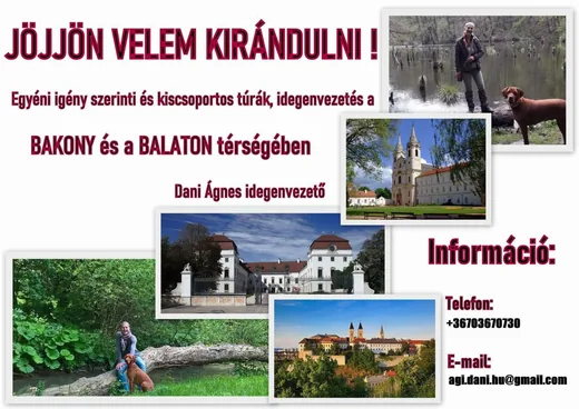 'Idegenvezetés' cikk borítóképe