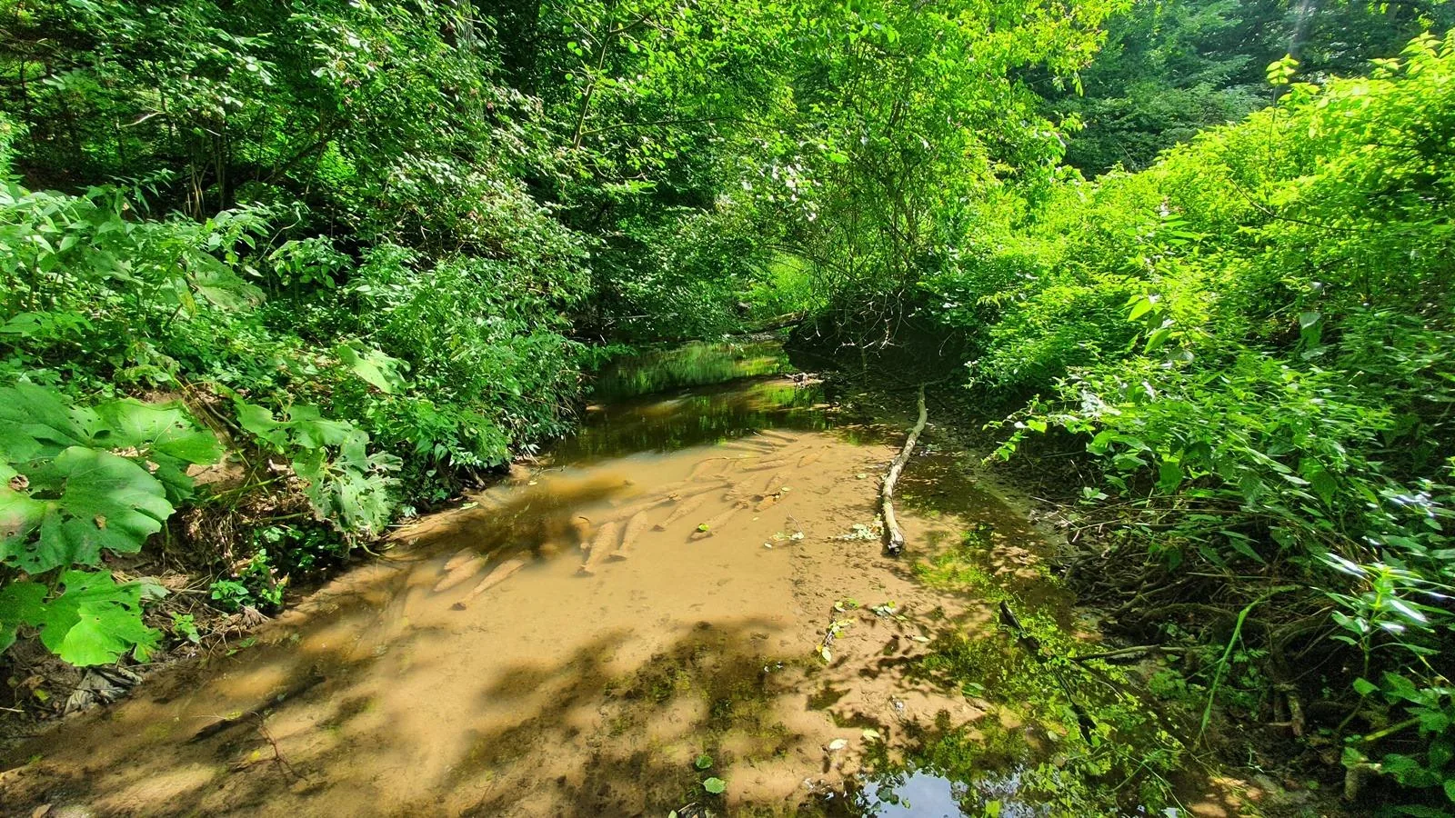 Fotók: Kapitány Gábor hadnagy, Vass Tamás főtörzsőrmester