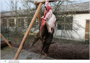 Fotók: Útirány.hu, Kiss Szabó Zoltán