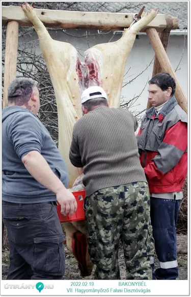 7. Bakonybéli Hagyományőrző Falusi Disznóvágás