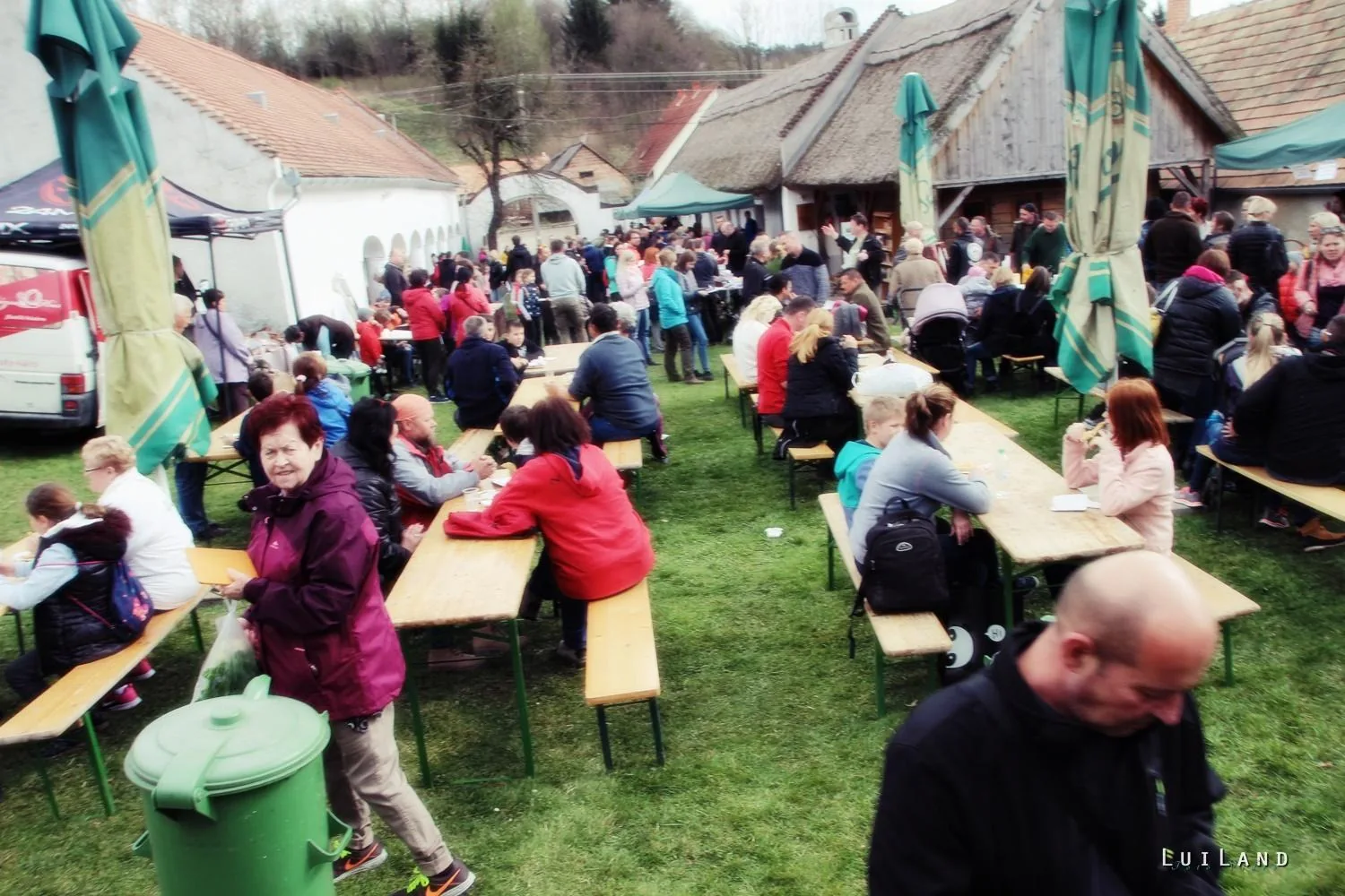 12. Medvehagymás napok. Fotók: Sárfi Lajos