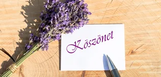 Dicsérő levél borítóképe